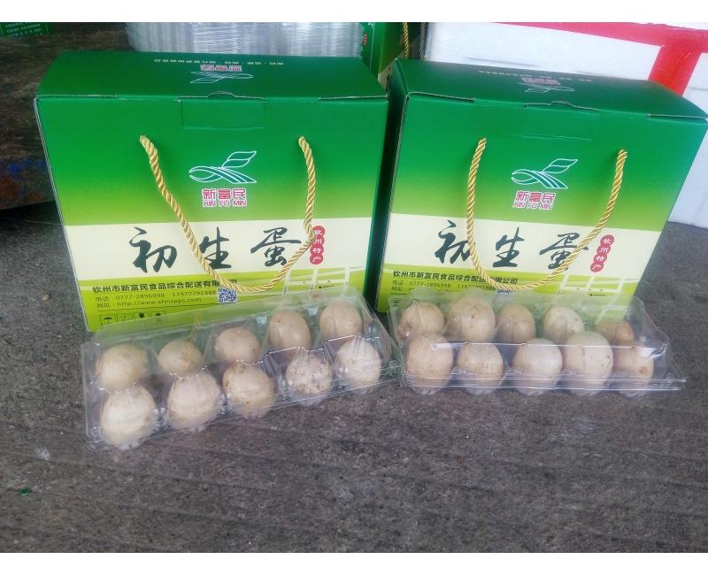 新富民初生蛋-源于天然 滋補(bǔ)有道。